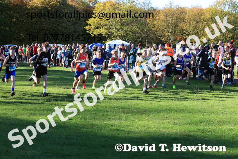 Boys Under-13s, 2025 Start Fitness NEHL, Lambton, County Durham. Photo: David T. Hewitson/Sports for All Pics